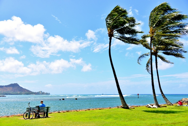 プラン紹介 プラン紹介
